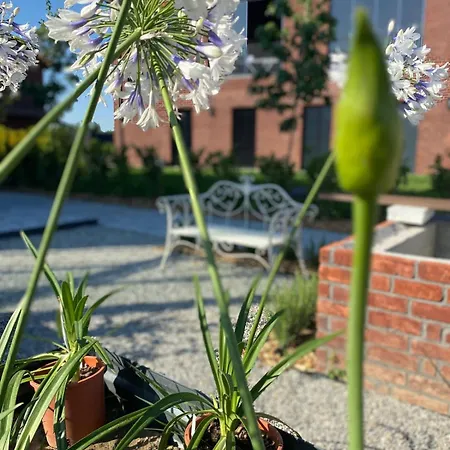 Il Roseto Dei Sensi Maison d'hôtes Tarantasca