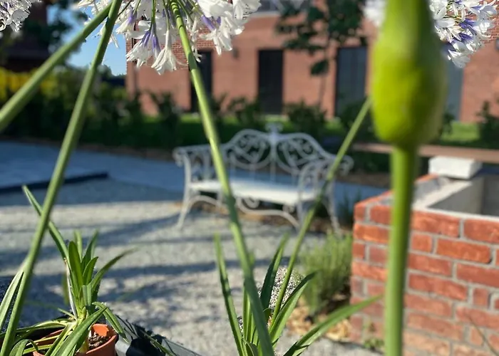 Il Roseto Dei Sensi Country In Piemonte ゲストハウス Tarantasca